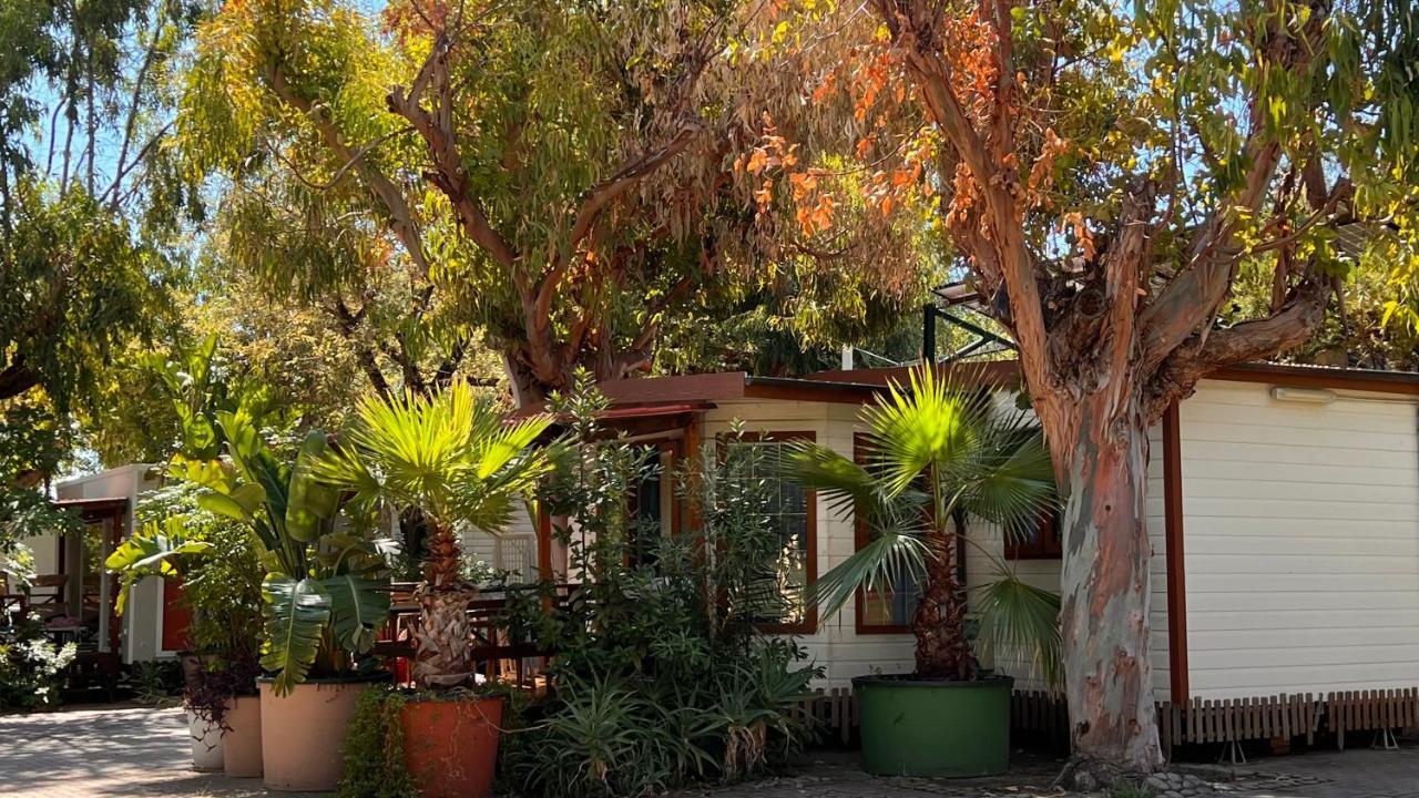 Villaggio Dei Fiori San Remo Exterior foto